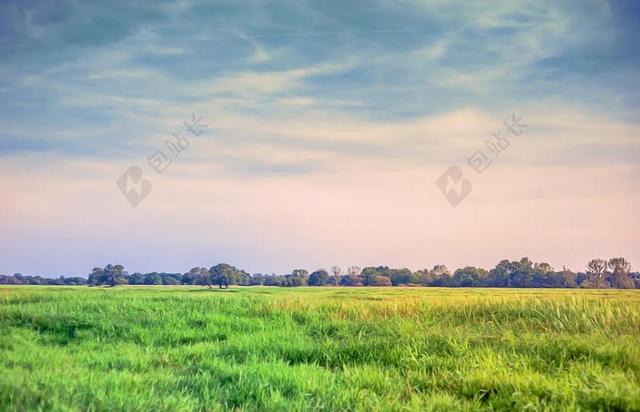 景观 草地 草 绿色 字段 云 天空 牧歌 夏季 愿景