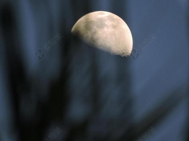月亮 伊利亚贝拉 滨海 夜 性质 天文 月光下的夜色 树枝