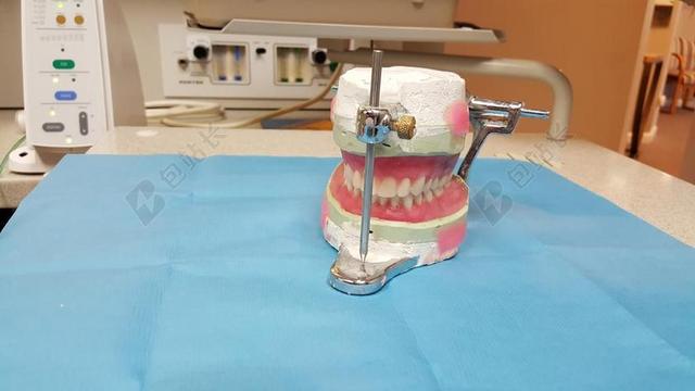 蓝色医学特写医学牙齿模型背景图片