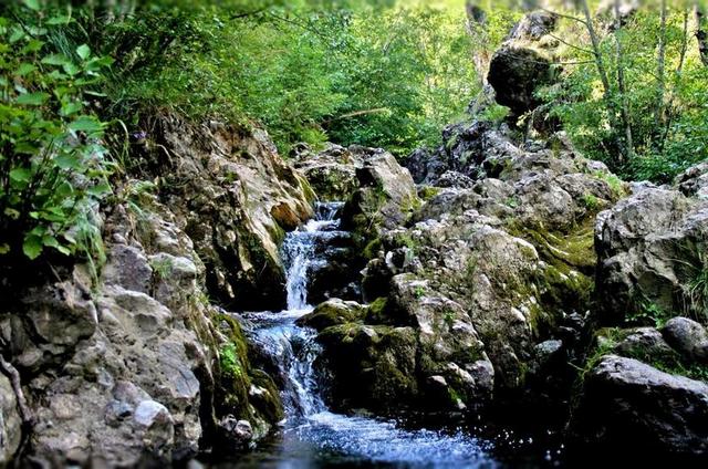大瀑布 夏天 清除 新鲜 水 自然 景观 河 石 溪