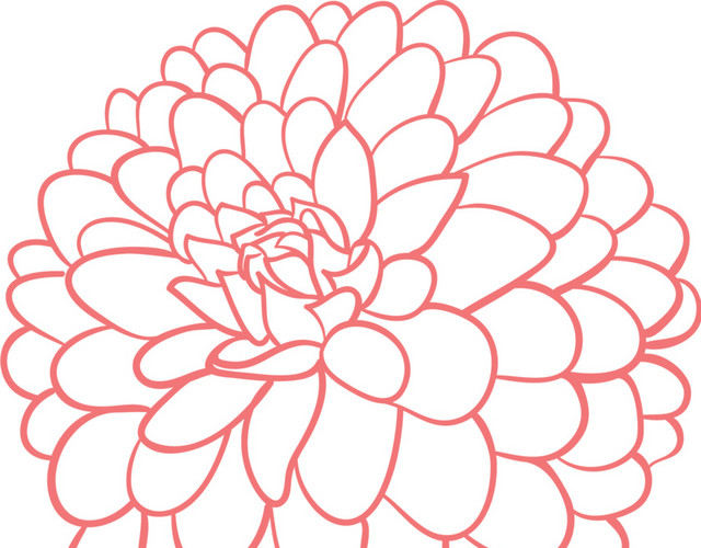 线条花朵矢量图片
