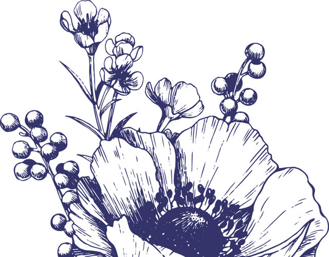 线条花朵手绘图片