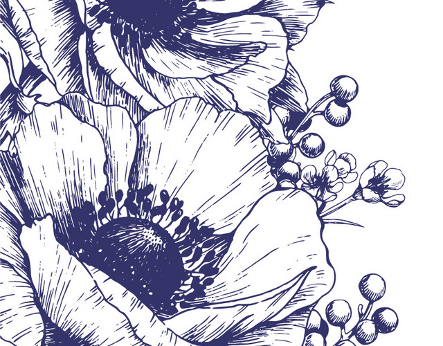 矢量线条花朵图片