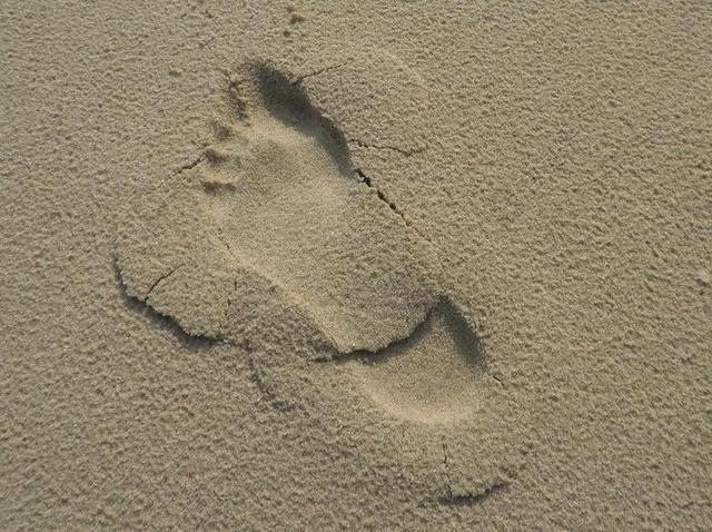 占地面积 沙 海滩 人的 脚 在沙子里的曲目 赤脚 沙滩