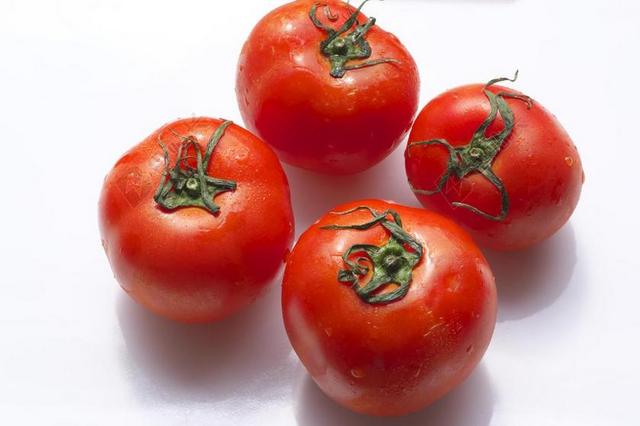番茄 蔬菜 食品 红色 新鲜 日本 生动 菜 植物