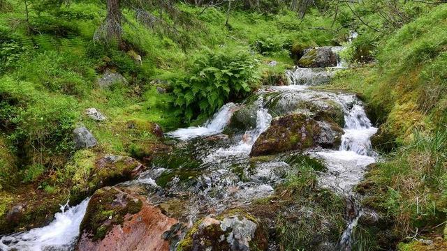 流 洪流 小溪 山 河床 流动 槽