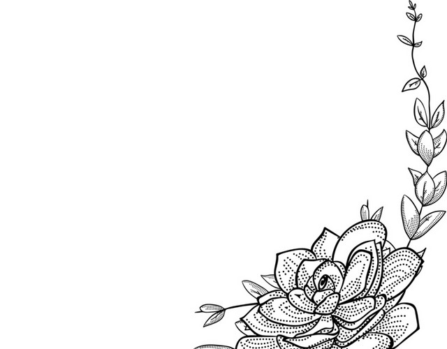 文艺风素描枝条花草