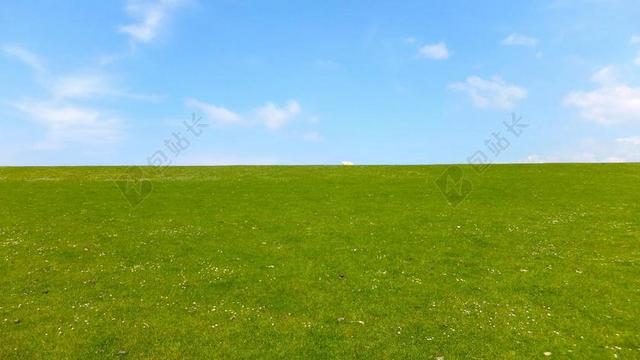 草地 天空 羊 草 农村 夏季 休息 绿色 云 性质