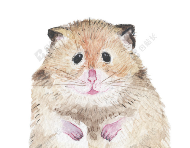 卡通手绘彩色龙猫插图