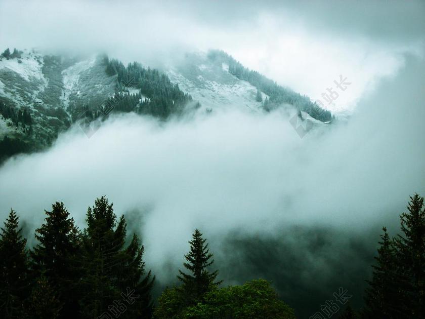 高山 雾 雪 新西兰 山 奥地利 云 森林