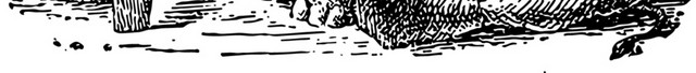 大象表演插画矢量素材
