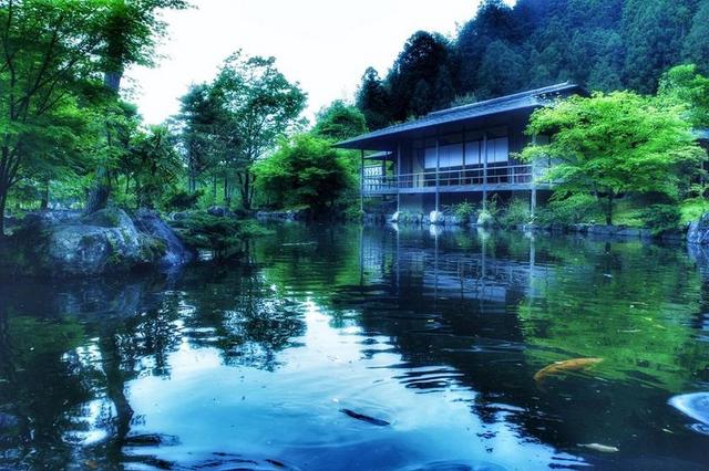 日本 日本花园 池塘 景观 视图 水 绿色 蓝色 茶室