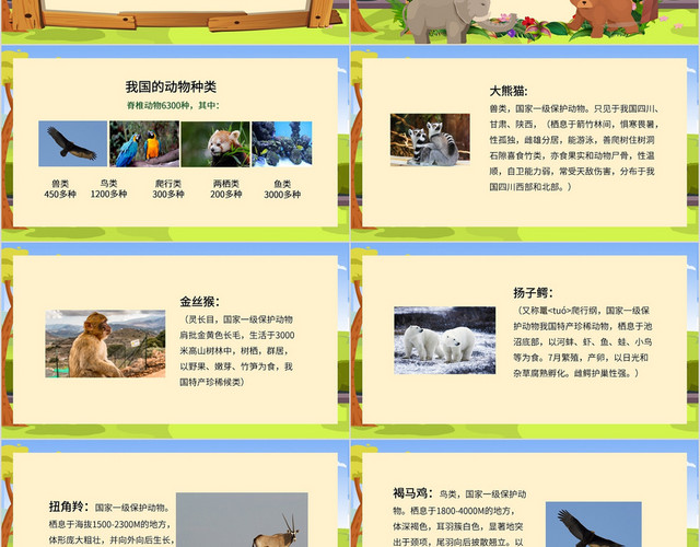 卡通可爱保护动物宣传PPT模板