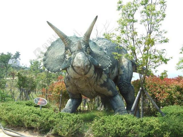 简约恐龙博物馆展品背景图片
