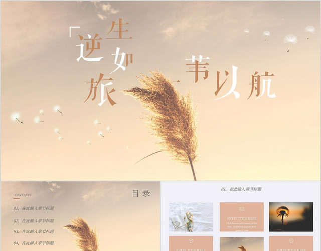 唯美通用简约工作汇报总结宣传PPT模板