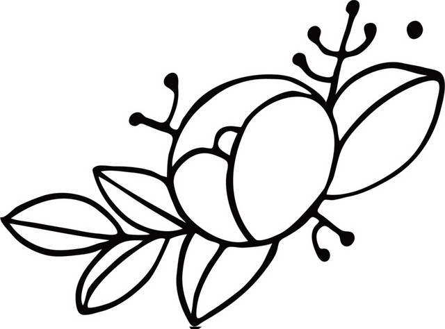 黑色线条手绘花朵简笔画