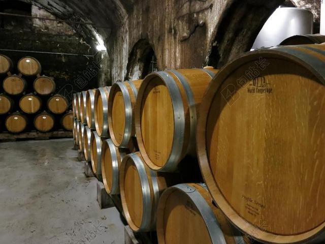 葡萄酒 桶 酒厂 葡萄酒桶 葡萄园 木桶 地窖