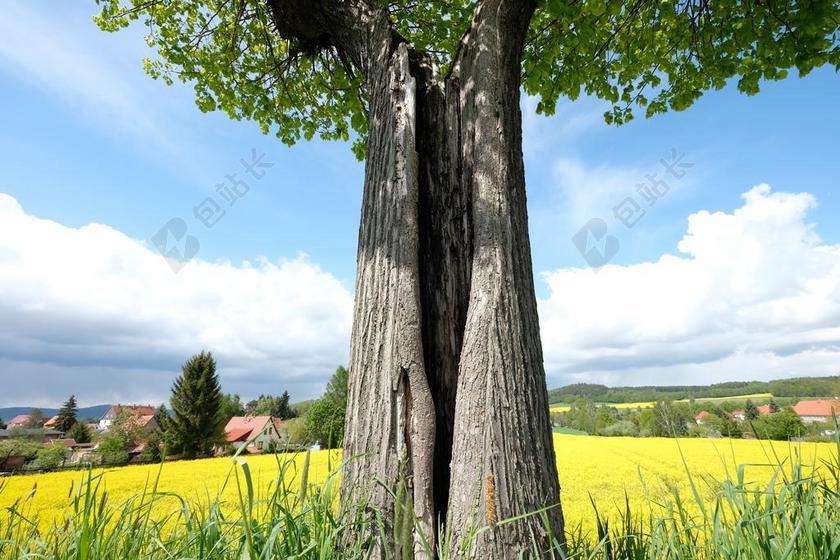 自然秋季田园风景背景图片