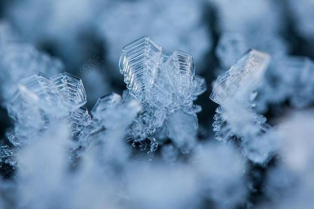 霜 EISKRISTALLE 冬天 雪 冷 冻结 晶体 白