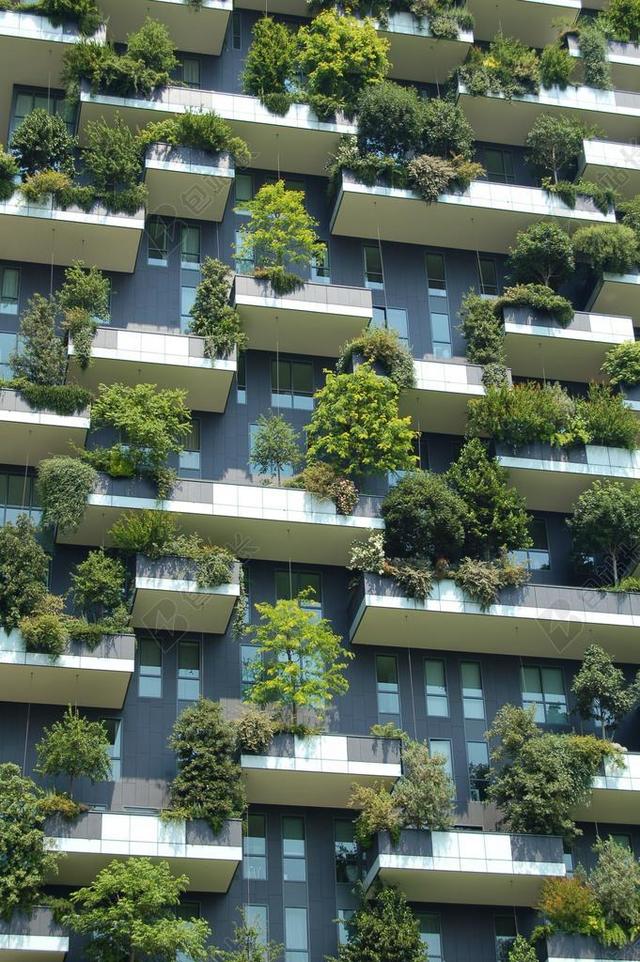 结构 建设 绿色建筑 高层 现代 模式 植物 窗口