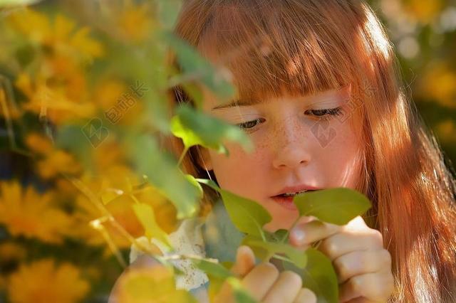 人 人的 女性 女孩 红头 面对 性质 出 花园 查看
