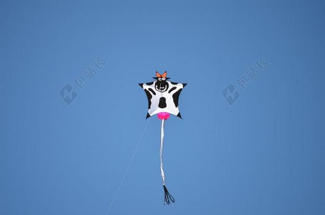 风筝 牛 动物 天空 乳房 牛动物