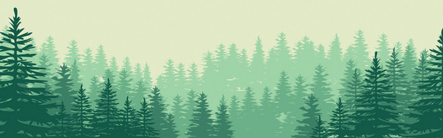 自然风森林树林大自然背景BANNER