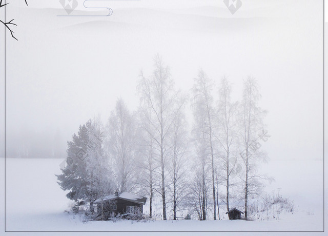 立冬雪松萧条灰色BANNER