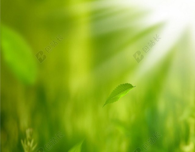 小清新 自然背景