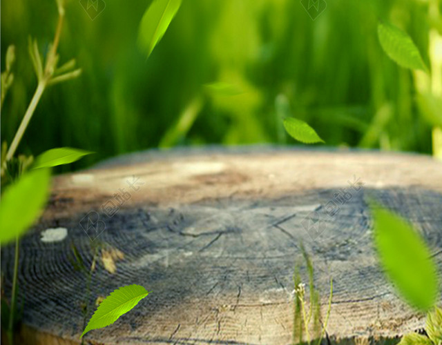 小清新 自然背景