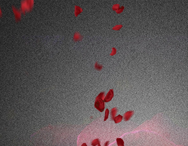 玫瑰花纹理5H背景