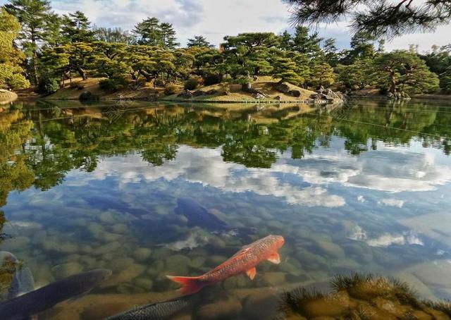 清新日本花园背景图片