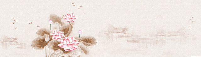 中国风莲花背景