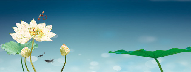 清新荷花中国风背景