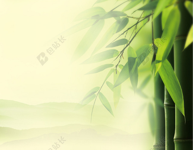 竹子清新背景