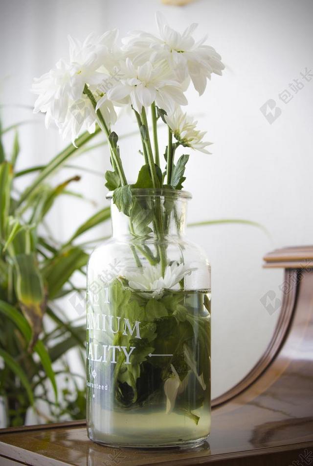 白色农业浪漫雏菊花朵玻璃瓶背景图片