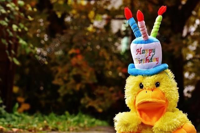 生日 祝贺 鸭 贺卡 喜悦 运气 高兴 迎接 生日祝福