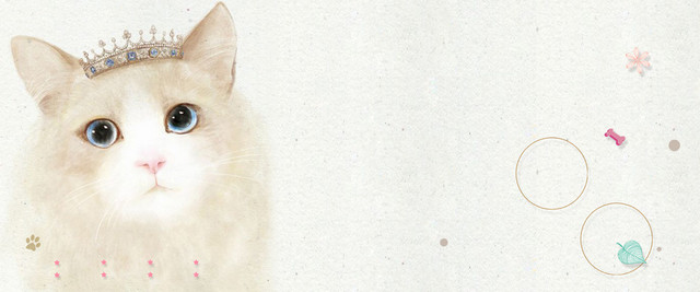 宠物文艺白色海报背景BANNER