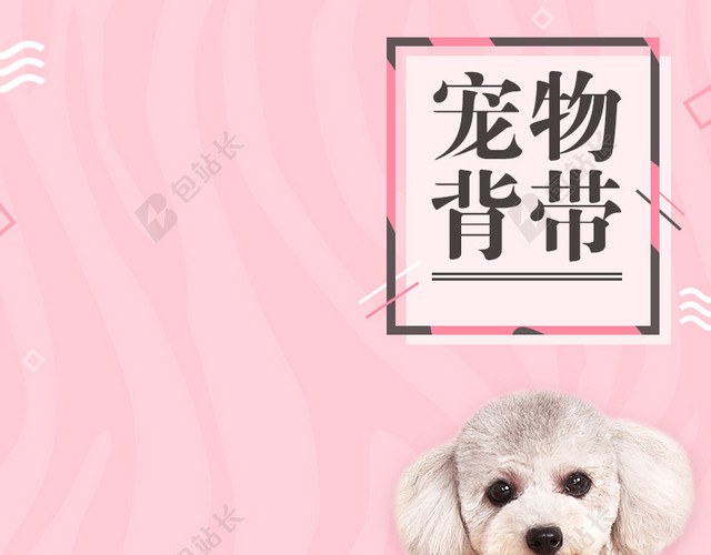 可爱宠物背带促销主图