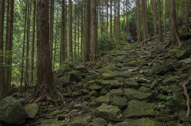景观 日本 熊野古道 伊势次 鹅卵石 历史 步行 徒步旅行