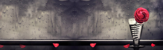 黑白玻璃水珠玫瑰背景BANNER