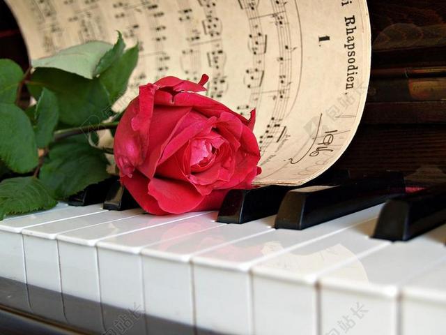 广告唯美钢琴上的浪漫玫瑰花和琴谱宣传背景图片