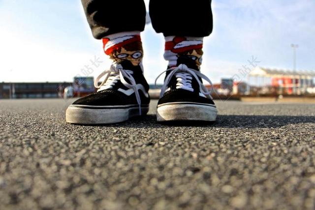 鞋 袜子 风格 袜子鞋 SKATERSHOES