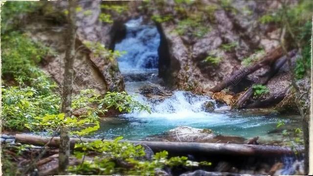 水 树 峡谷 过独身生活