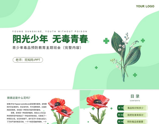 绿色简约远离毒品安全教育主题班会PPT模板