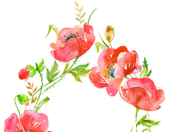 红色花朵装饰边框