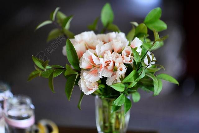 白绿植物清新装在花瓶里面的白花绿叶植物装饰鲜花背景图片