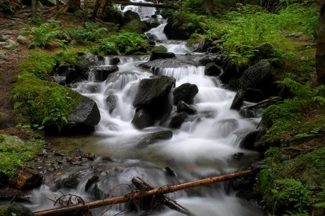 过独身生活 河 长时间曝光 森林 水域 景观 瀑布 流 水