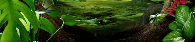 魔幻森林绿色背景
