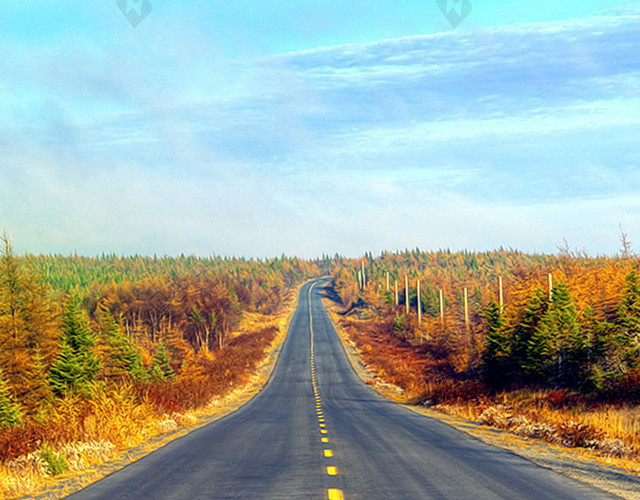 蜿蜒至远方的道路